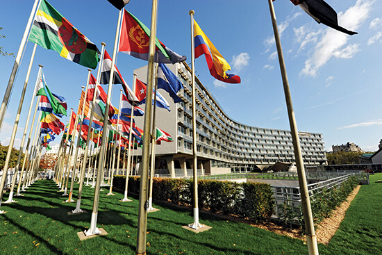UNESCO young trainers