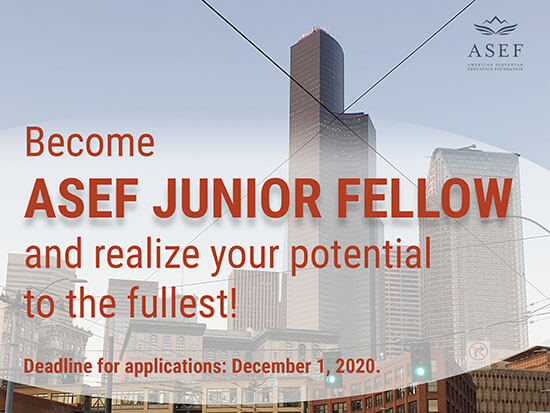 asef junior fellow global
